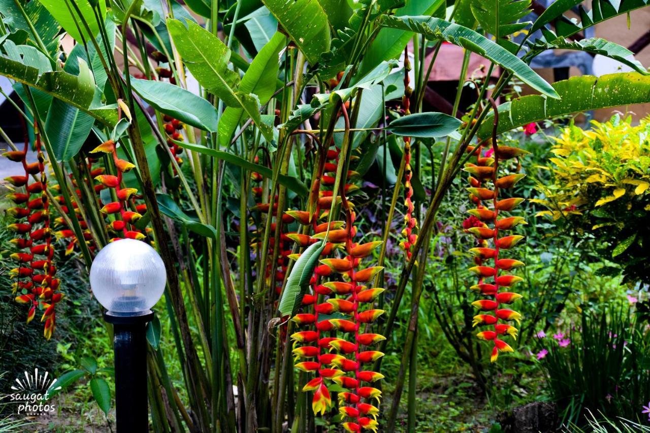 Bardia Wildlife Resort Bardiya Ngoại thất bức ảnh
