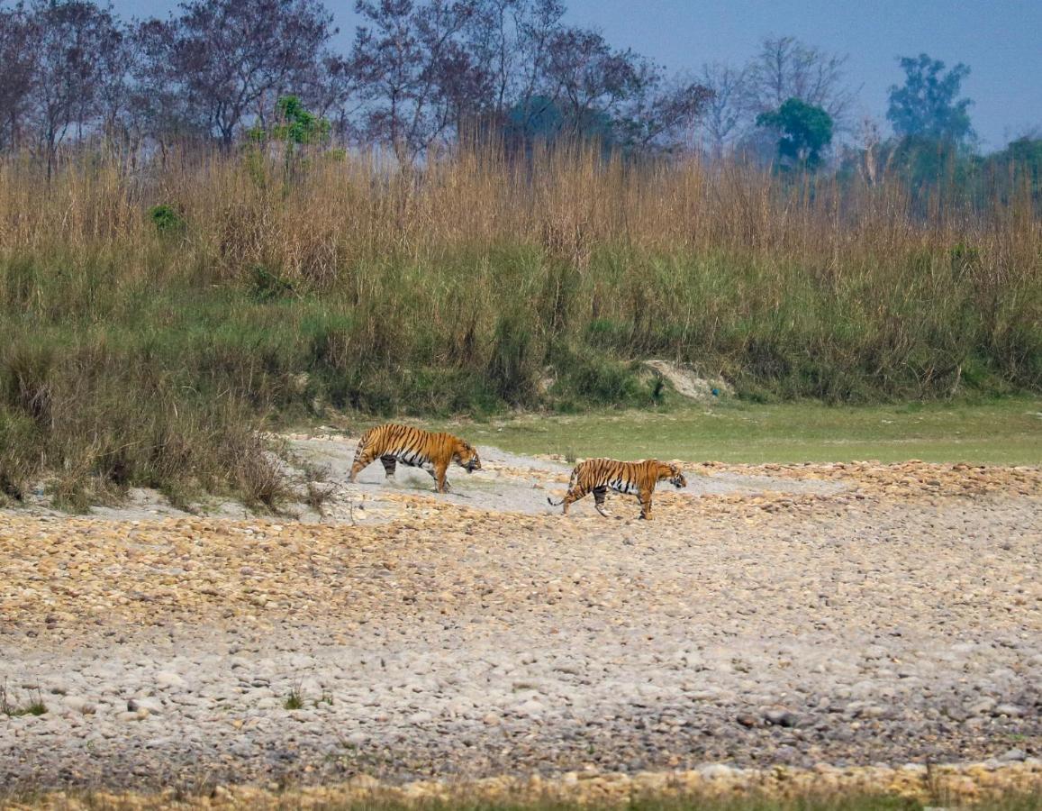 Bardia Wildlife Resort Bardiya Ngoại thất bức ảnh