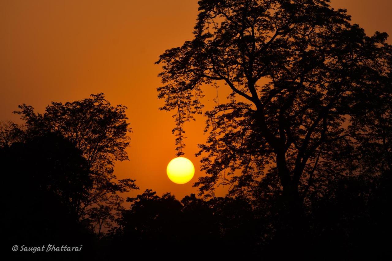 Bardia Wildlife Resort Bardiya Ngoại thất bức ảnh